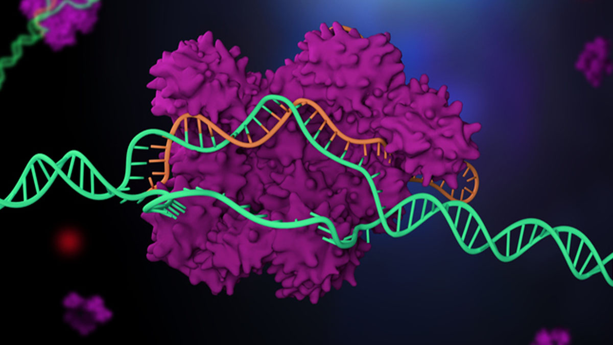 In Vitro 3D Cellular Model Shows Promise in Understanding Rare Pediatric Neurodegenerative Disease
