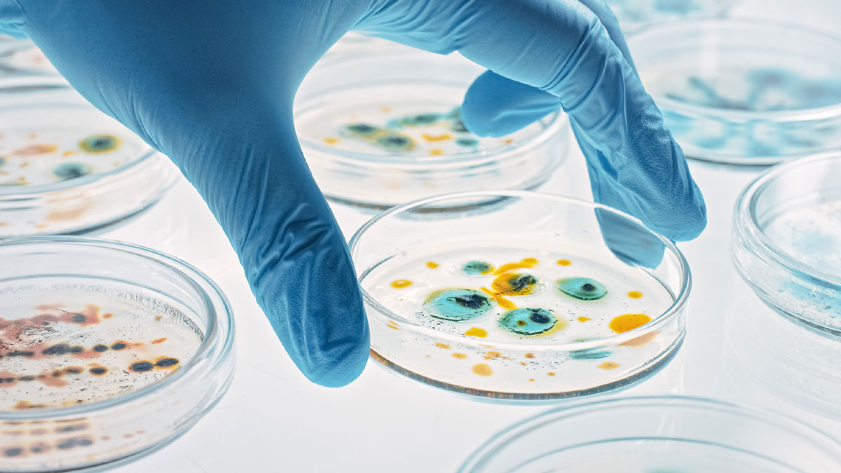 Improving Our Understanding of Biofilm Formation on Indwelling Medical Devices