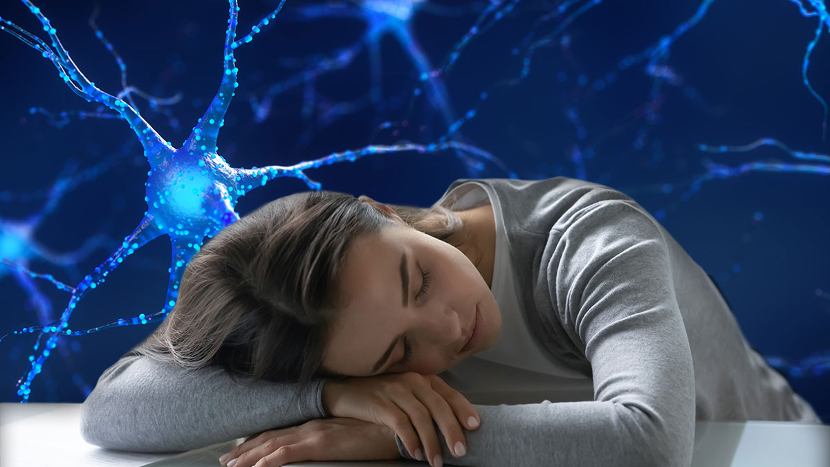 Autoimmune activity in narcolepsy