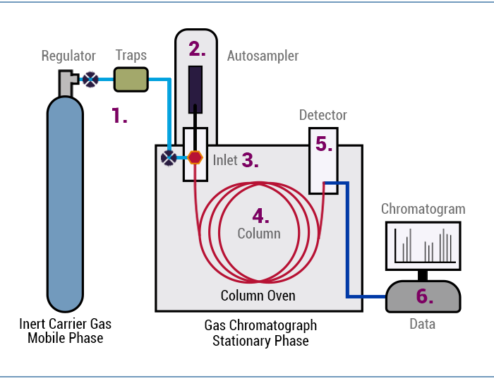 column gas chromatography