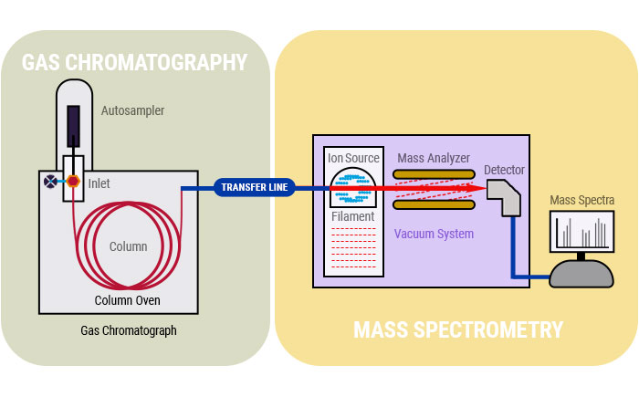 Chromatography Explained How Mass Spectrometry Adds Information To Your Analysis PerkinElmer Blog