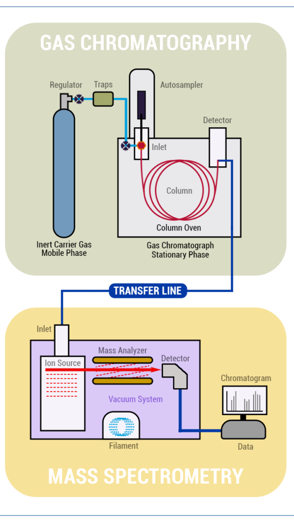 Chromatography Explained: How Mass Spectrometry Adds Information to ...