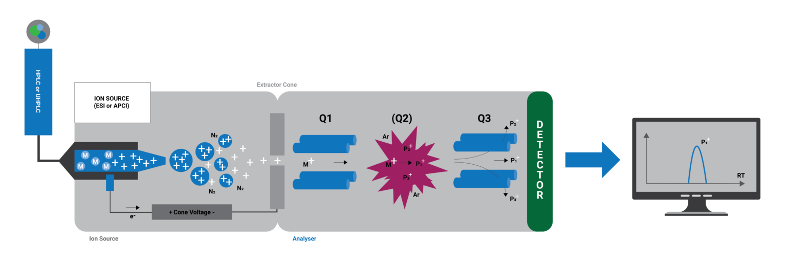 Mass Spectrometry Explained: How LC/MS/MS Works - HTI Scientific