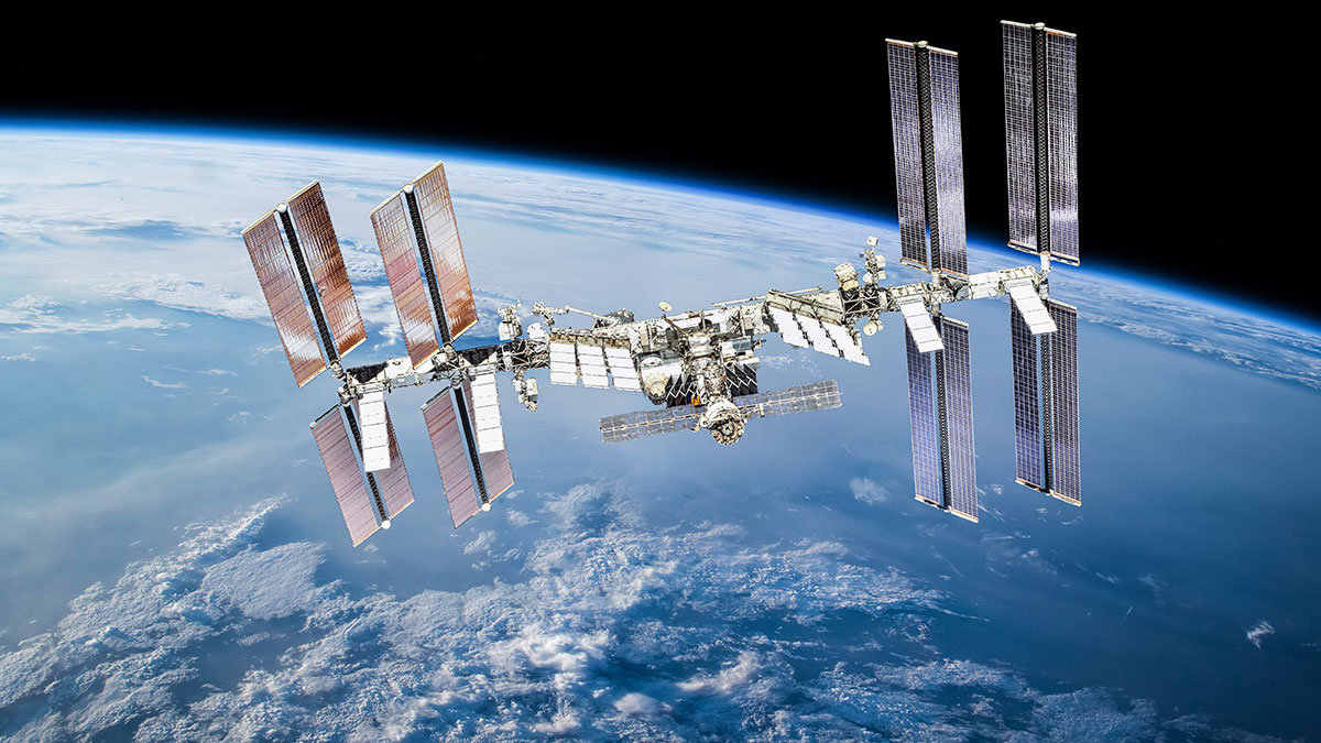 Tackling space flight biology with scRNAseq