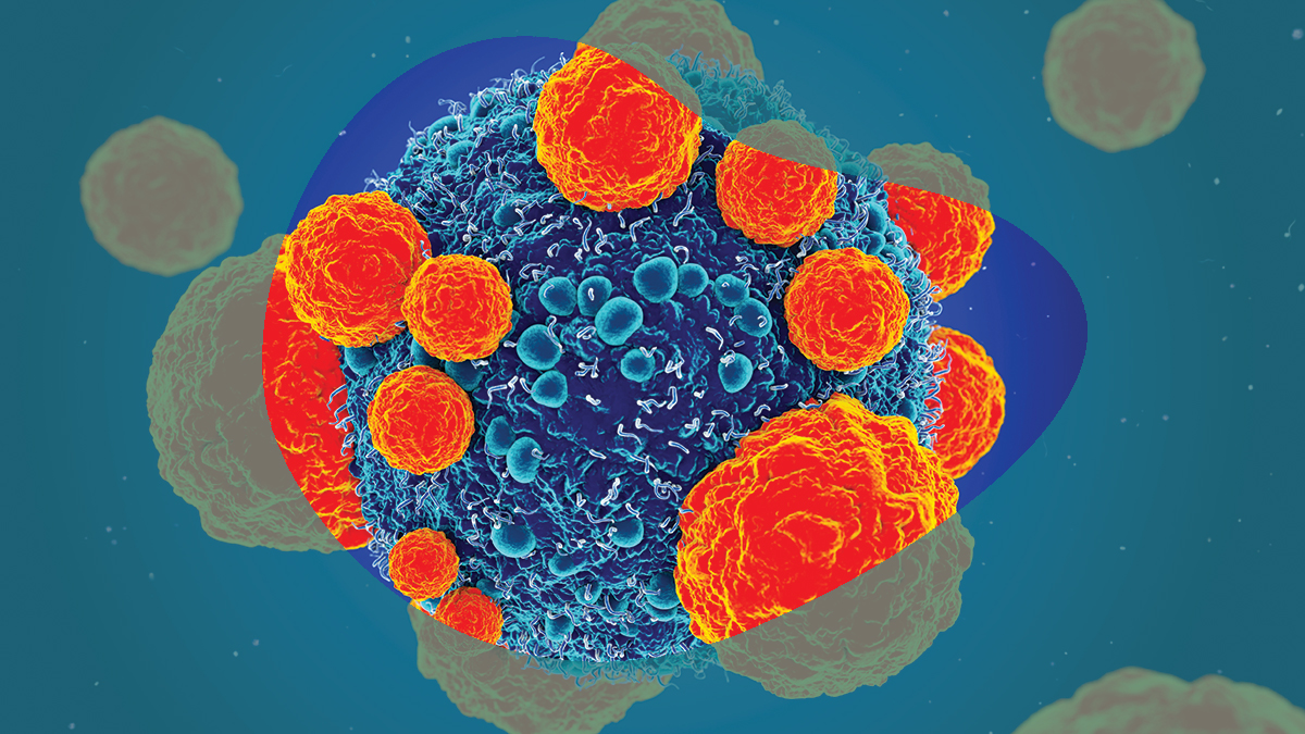 Overcoming the Challenges of 3D Immune Cell-Killing Assays